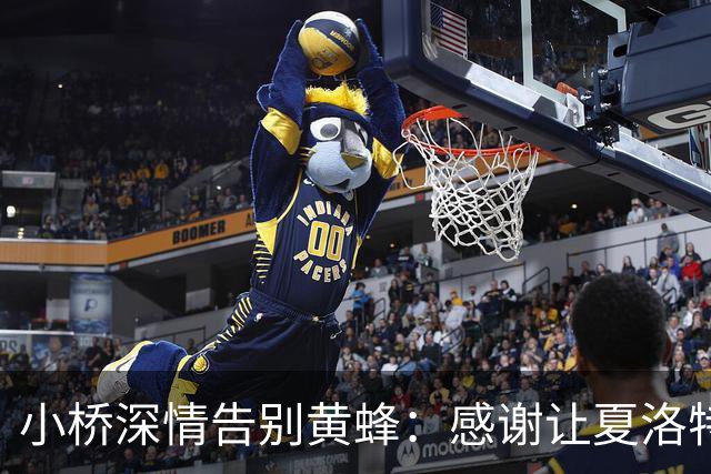 小桥深情告别黄蜂：感谢让夏洛特成为我的家 这里永远无可替代
